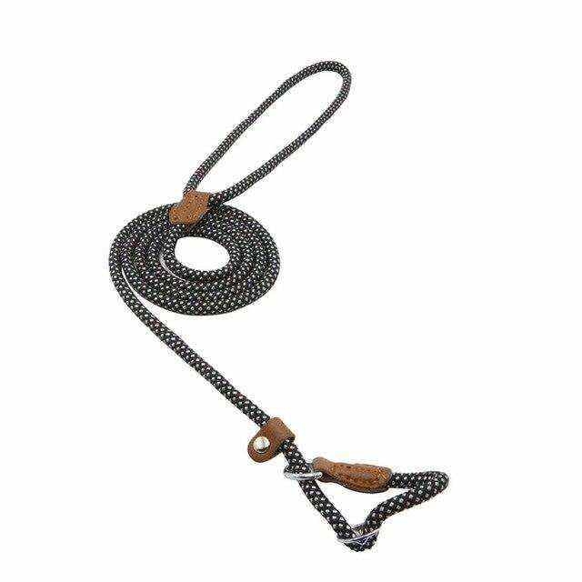 Adjustable Nylon Dog Collar is represented by a black patterned nylon dog leash with brown leather details and a loop handle.